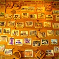 DSC02837.jpg