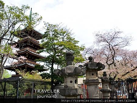 寬永寺五重塔.jpg