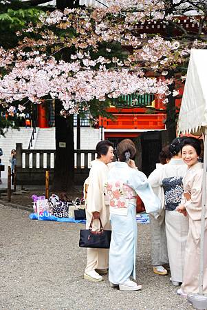 淺草神社櫻花3.jpg