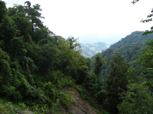 颱風後的山巒.jpg