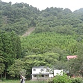 非常小的森林小學.jpg