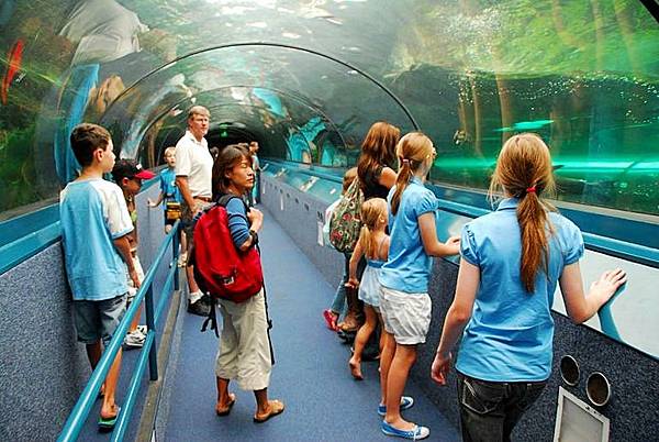 雪梨水族館