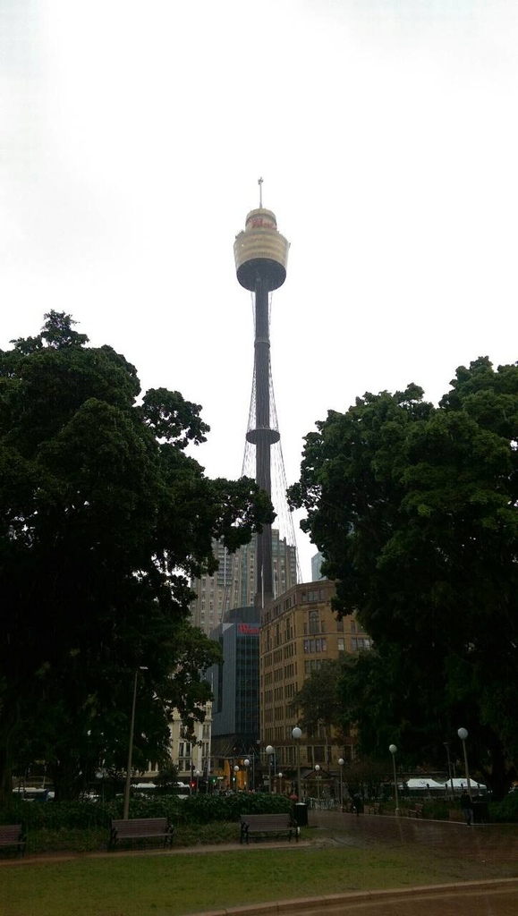 子達-雪梨市區觀光03