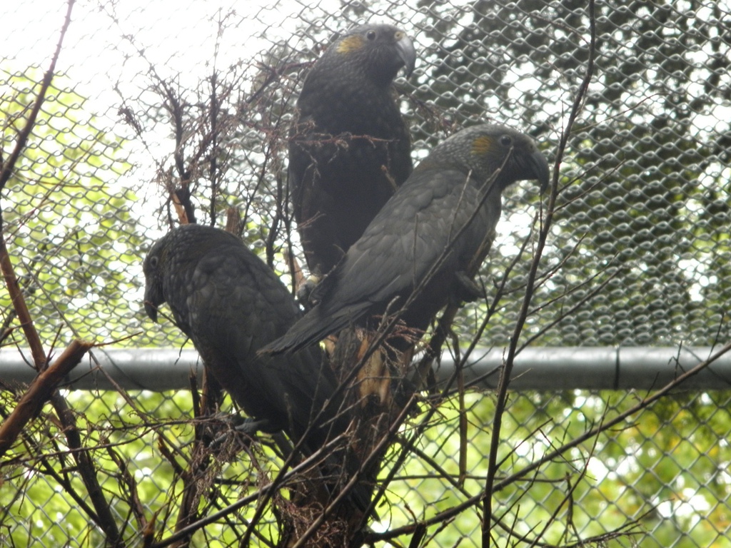 華清仁~峽灣國家公園野鳥保育區06