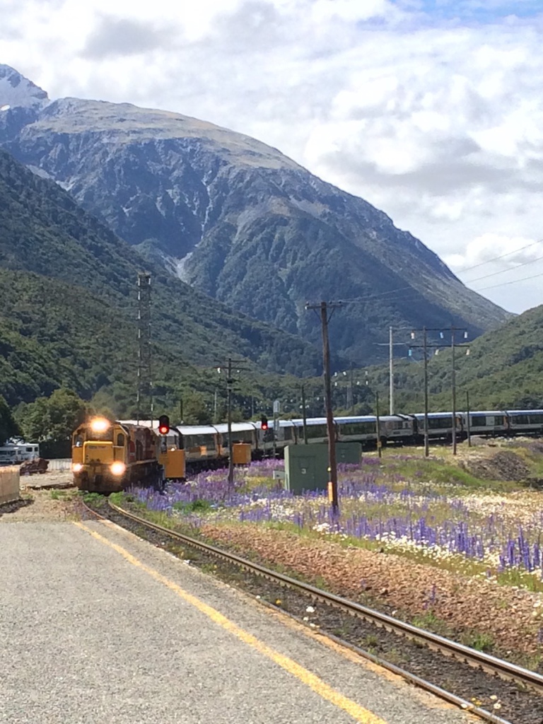 黃棠杰-高山景觀火車-01