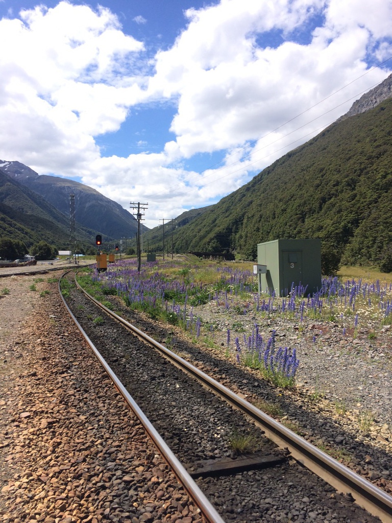 黃棠杰-高山景觀火車-09