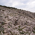 PA286254.JPG