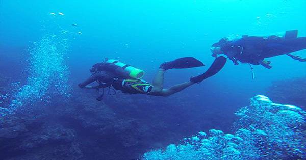 潛水 Diving