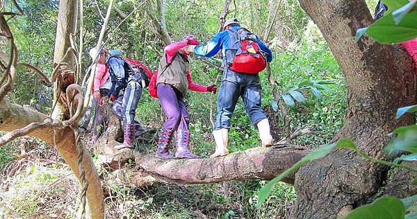 戶外導覽、生態旅遊、古道健行 Human ecology guide&Eco tour&Mountain hiking