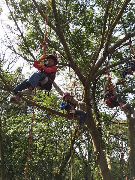 OUDO20160306桃園攀樹體驗 (81).JPG