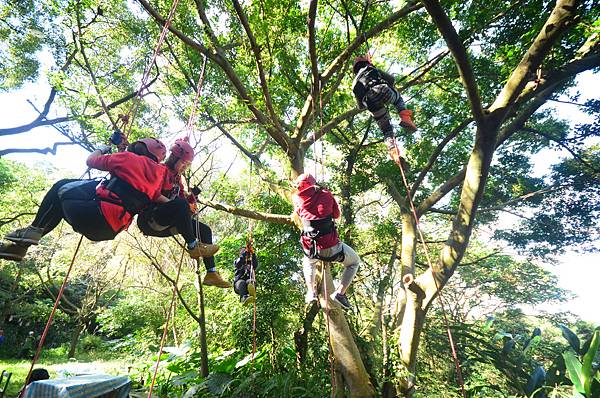桃園攀樹體驗 (21).JPG