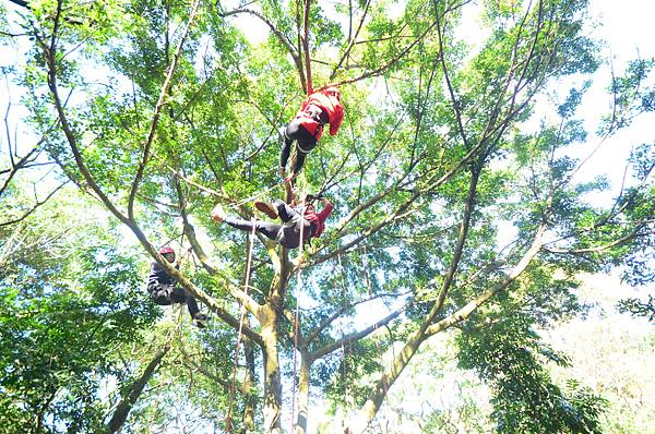 桃園攀樹體驗 (32).JPG