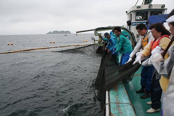 捕魚體驗