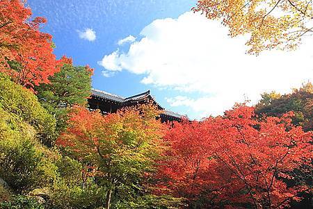 京都楓紅（photo by Victo）.jpg