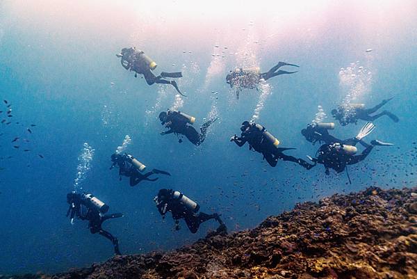 Long Dong (Dragon caves) Snorkeling Experience - Ofucos 歐夫寇斯