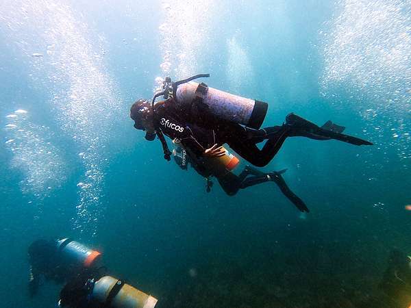 Long Dong (Dragon caves) Snorkeling Experience - Ofucos 歐夫寇斯