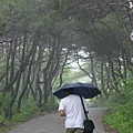 雨中走上鳳停寺