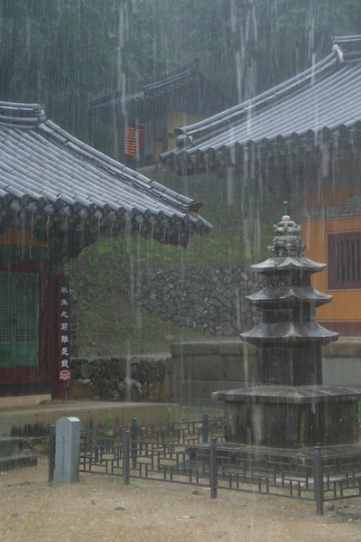 雨中寺景