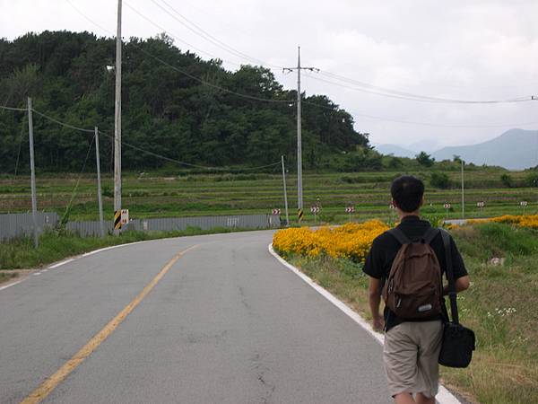 田間遊走...舒服啦