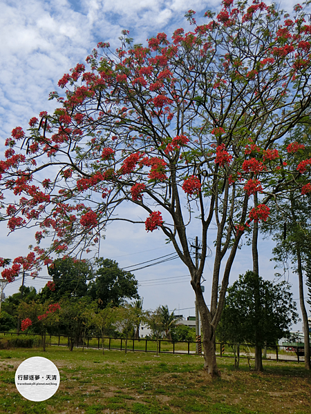 行腳逐夢。天清_臺南山上花園 水道博物館..png