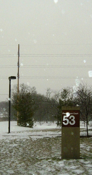 snow with 53.JPG