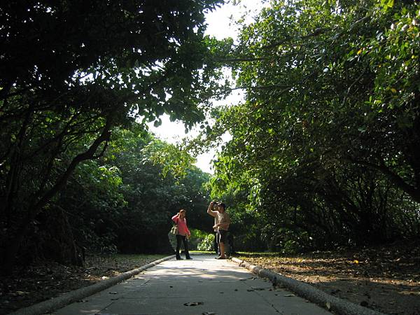 步行鵝鸞鼻公園步道的第一站