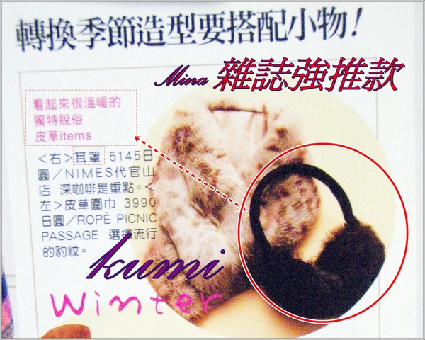 雜誌照_20100131_01.JPG