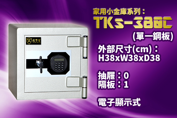 TKs-380C