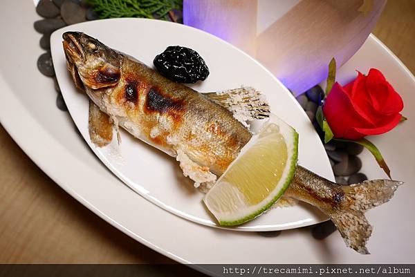 P1880806.jpg P1880806.jpg