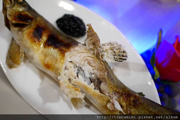 P1880829.jpg P1880829.jpg