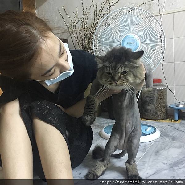 五甲的咪咪_171027_0009.jpg