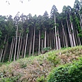 107.08.24京都貴船神社 (68)