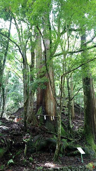 貴船神社路途(2)