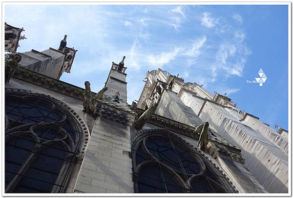 Notre_Dame19.jpg