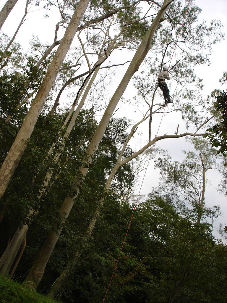 檸檬安-1.JPG 檸檬安-1.JPG