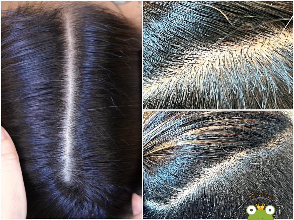 03拼圖14.png 03拼圖14.png