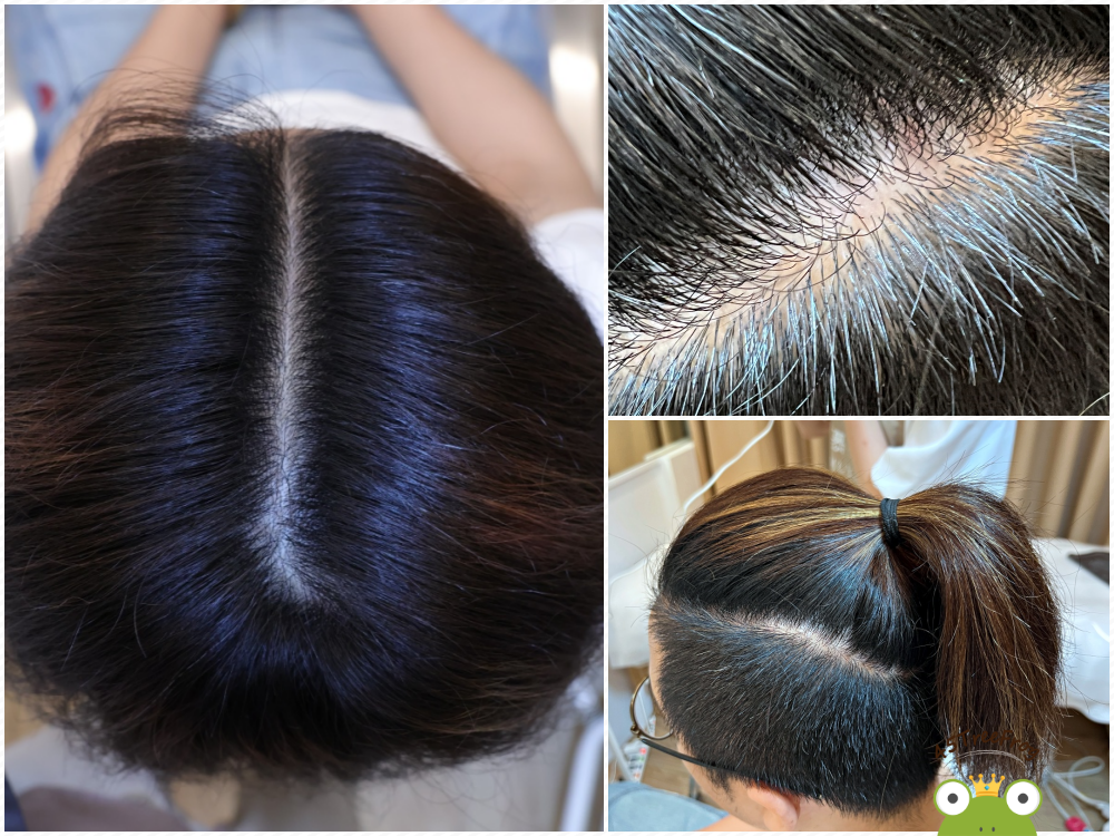 03拼圖16.png 03拼圖16.png