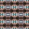 pig_kaleidoscope_290.jpg