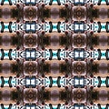 pig_kaleidoscope_290.jpg