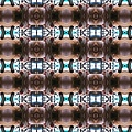 pig_kaleidoscope_600.jpg