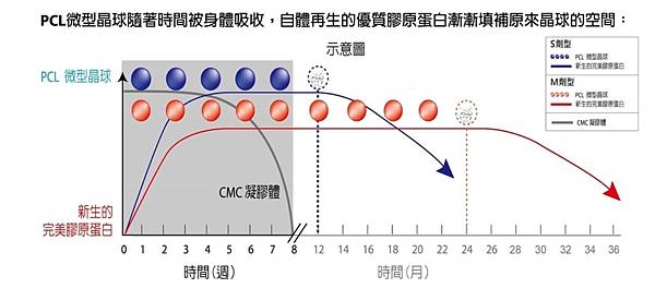 4.洢蓮絲8-1030x452.jpg