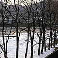 早晨的飛驒川.JPG