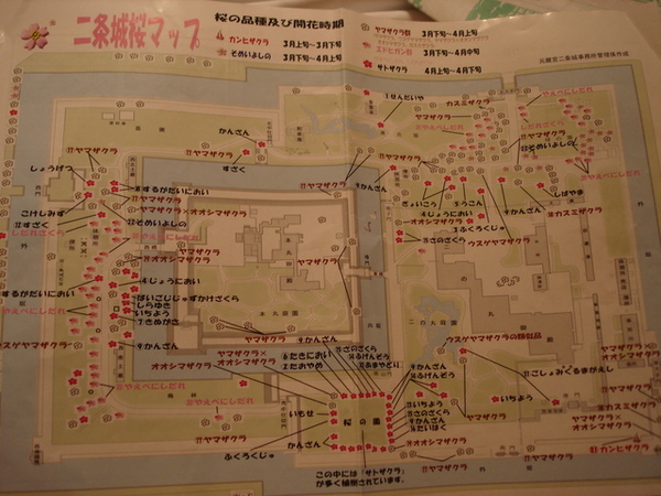 二条城櫻花map.JPG