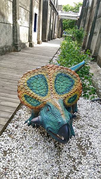 117355.jpg 117355.jpg