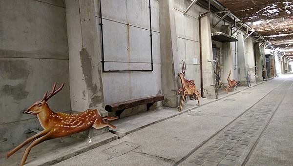 117446.jpg 117446.jpg