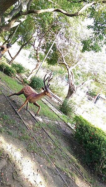 117474.jpg 117474.jpg