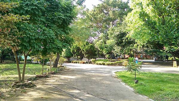 117479.jpg 117479.jpg