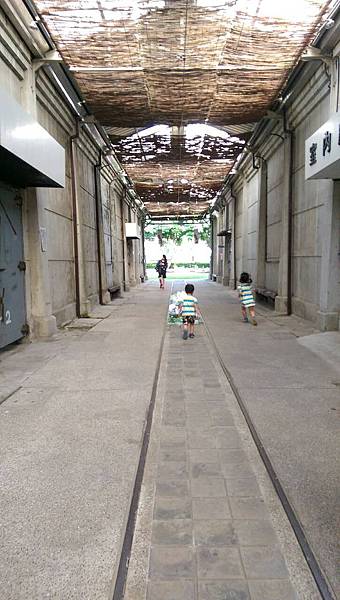 117523.jpg 117523.jpg