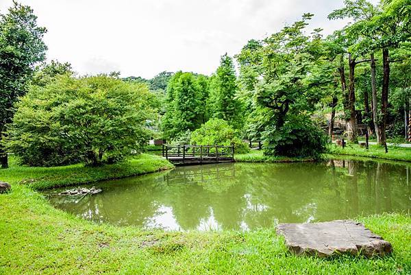 DSC00090.jpg DSC00090.jpg