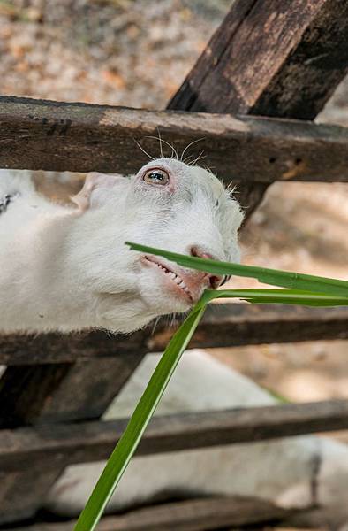 DSC00098.jpg DSC00098.jpg